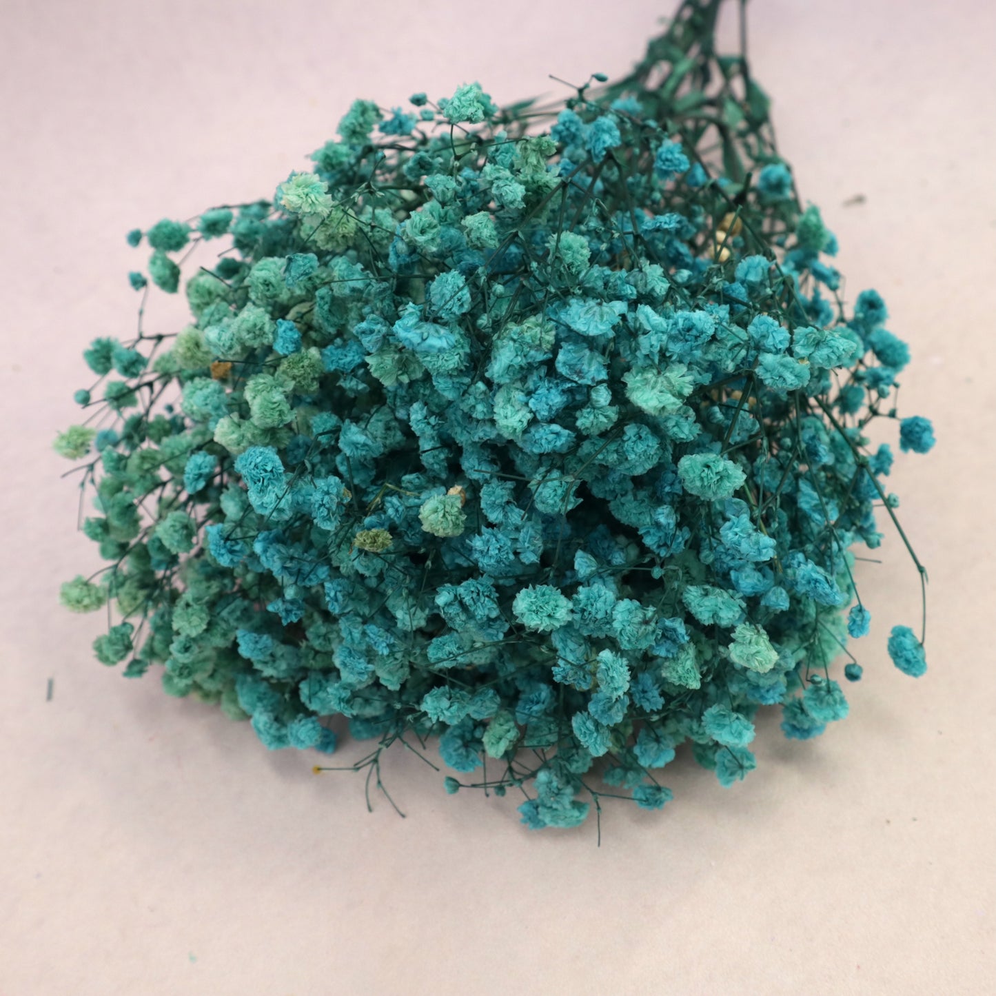Baby's Breath Teal Blue