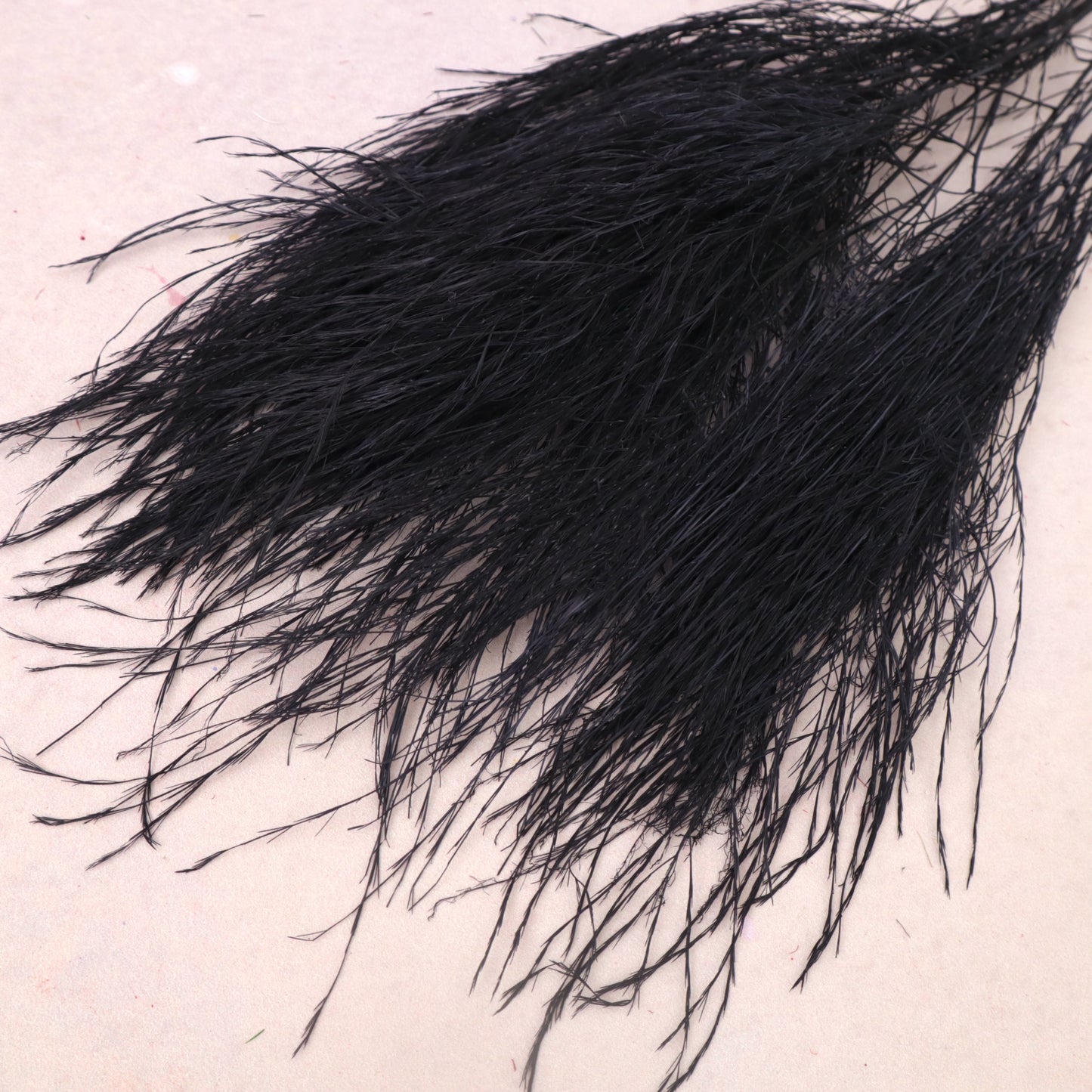 Tiki Fern Black