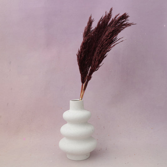 Giant Reeds Grass Wine Red