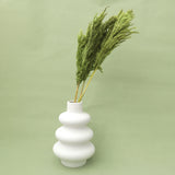 Giant Reeds Grass Olive Green