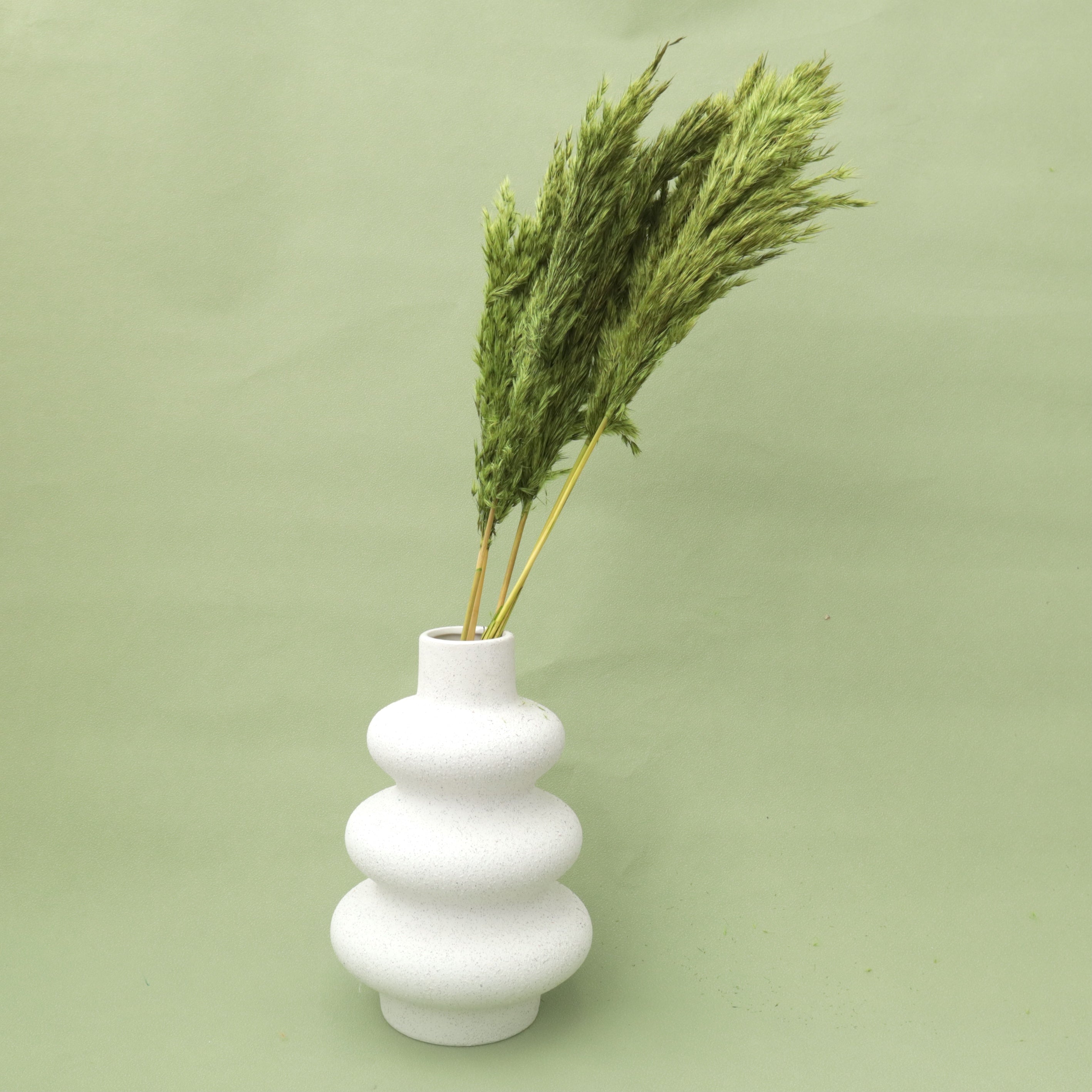 Giant Reeds Grass Olive Green