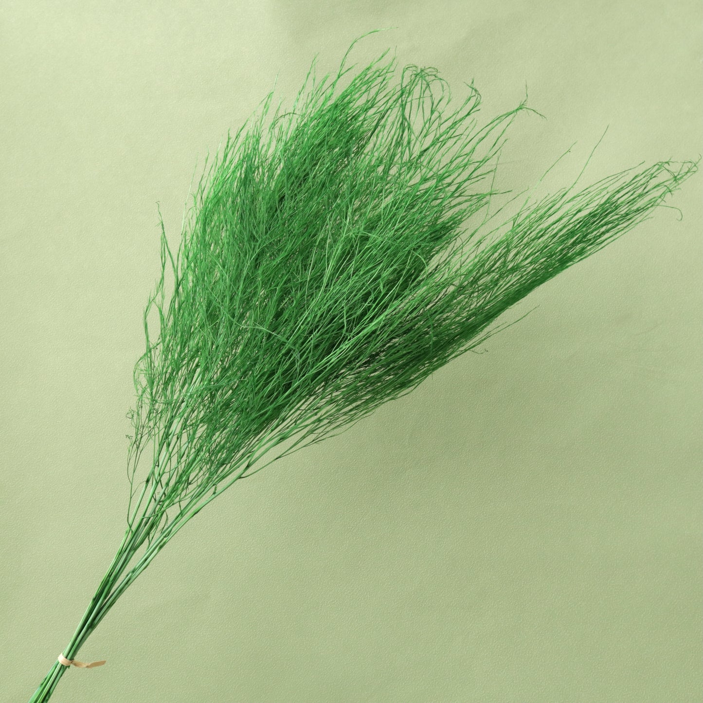 Tiki Fern Green