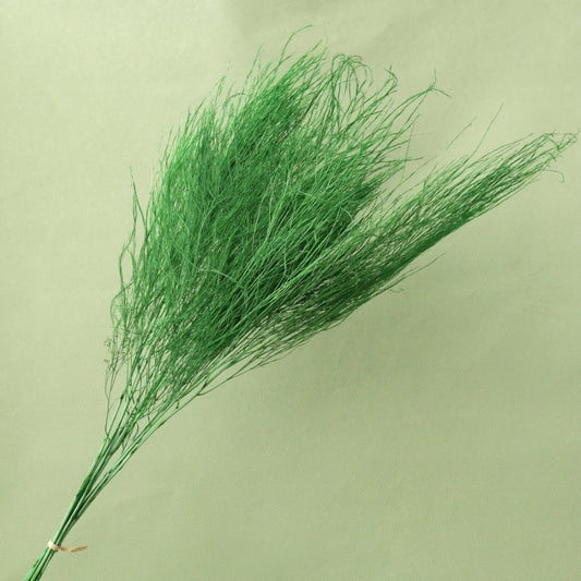 Tiki Fern Green