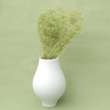 Snowy Baby's Breath Green