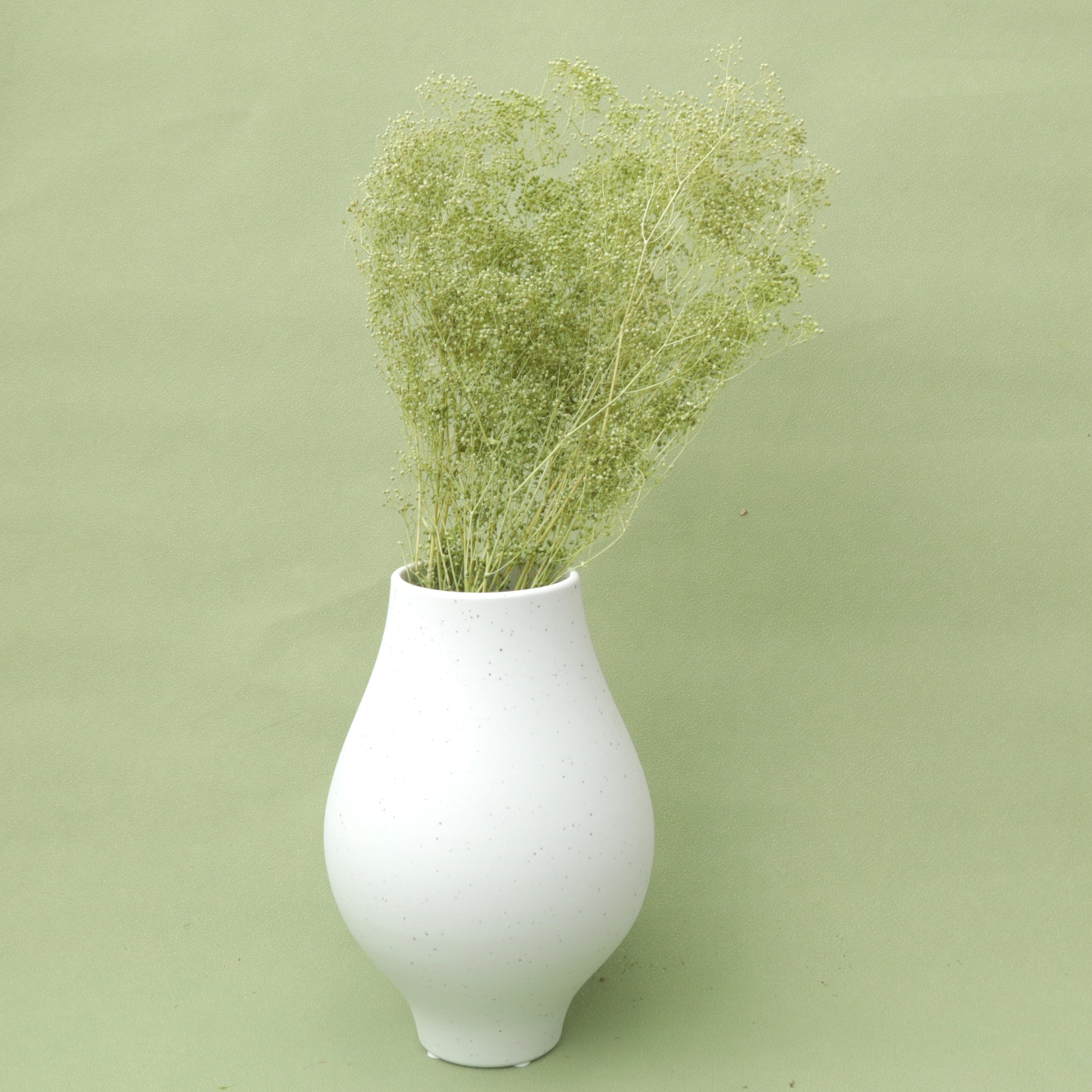 Snowy Baby's Breath Green