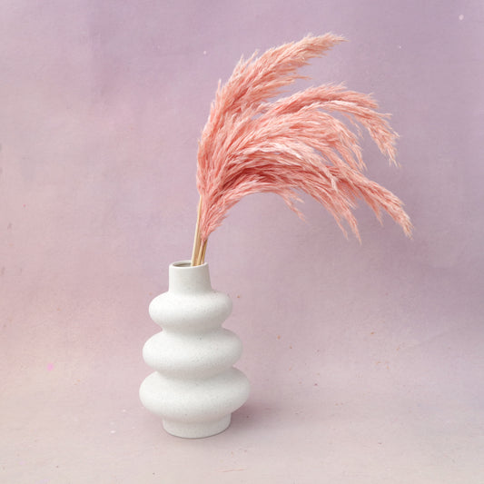 Giant Reeds Grass Pink