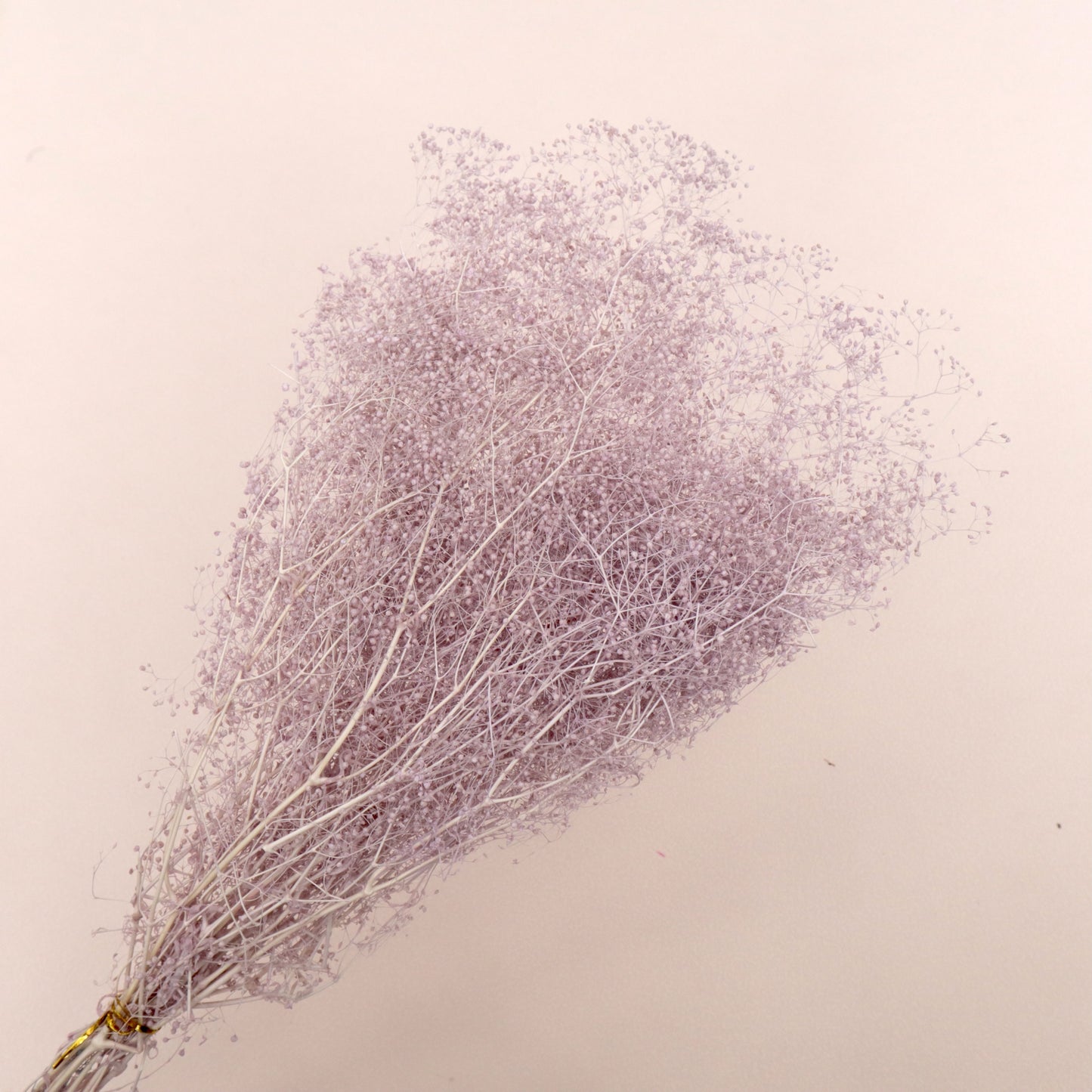 Snowy Baby's Breath Purple