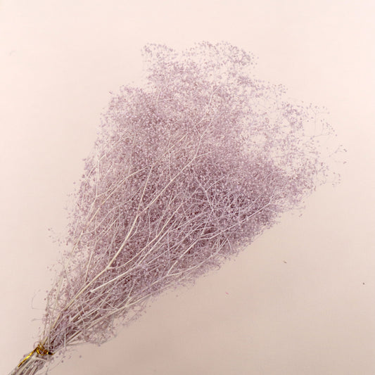 Snowy Baby's Breath Purple