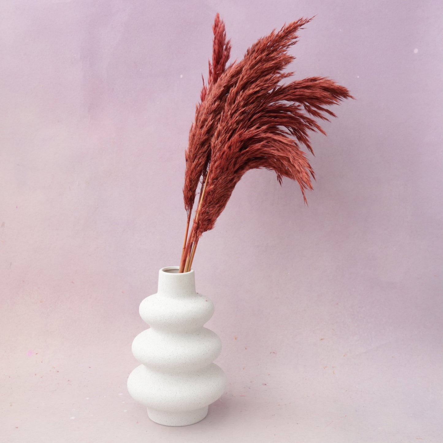 Giant Reeds Grass Red