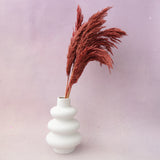 Giant Reeds Grass Red