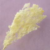 Ming Fern Pastel Yellow