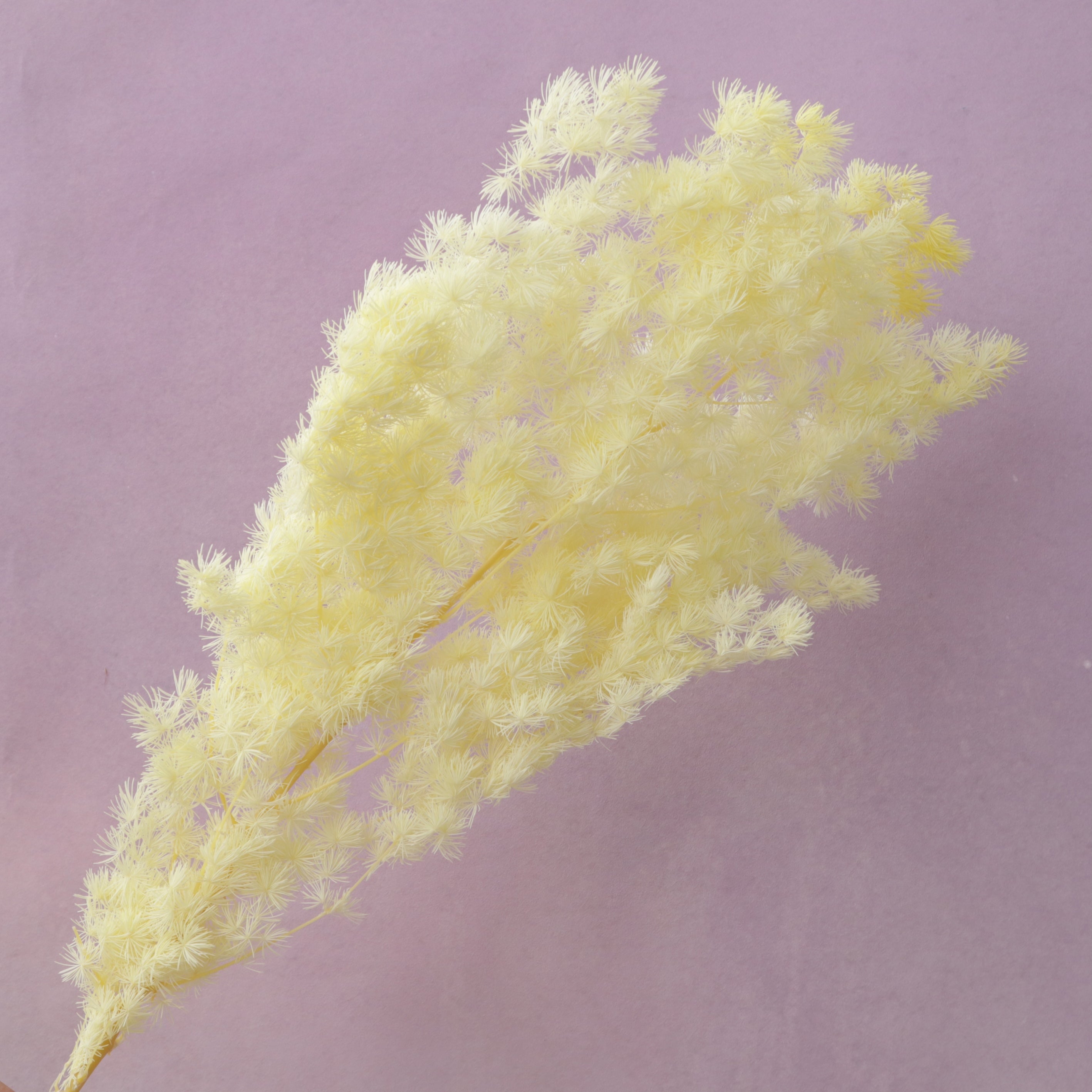 Ming Fern Pastel Yellow
