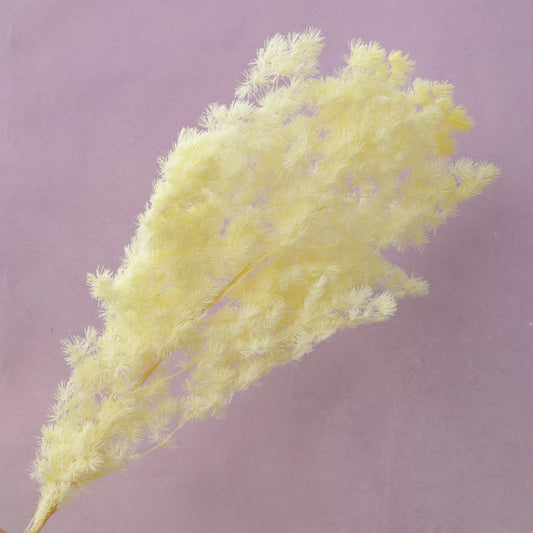 Ming Fern Pastel Yellow