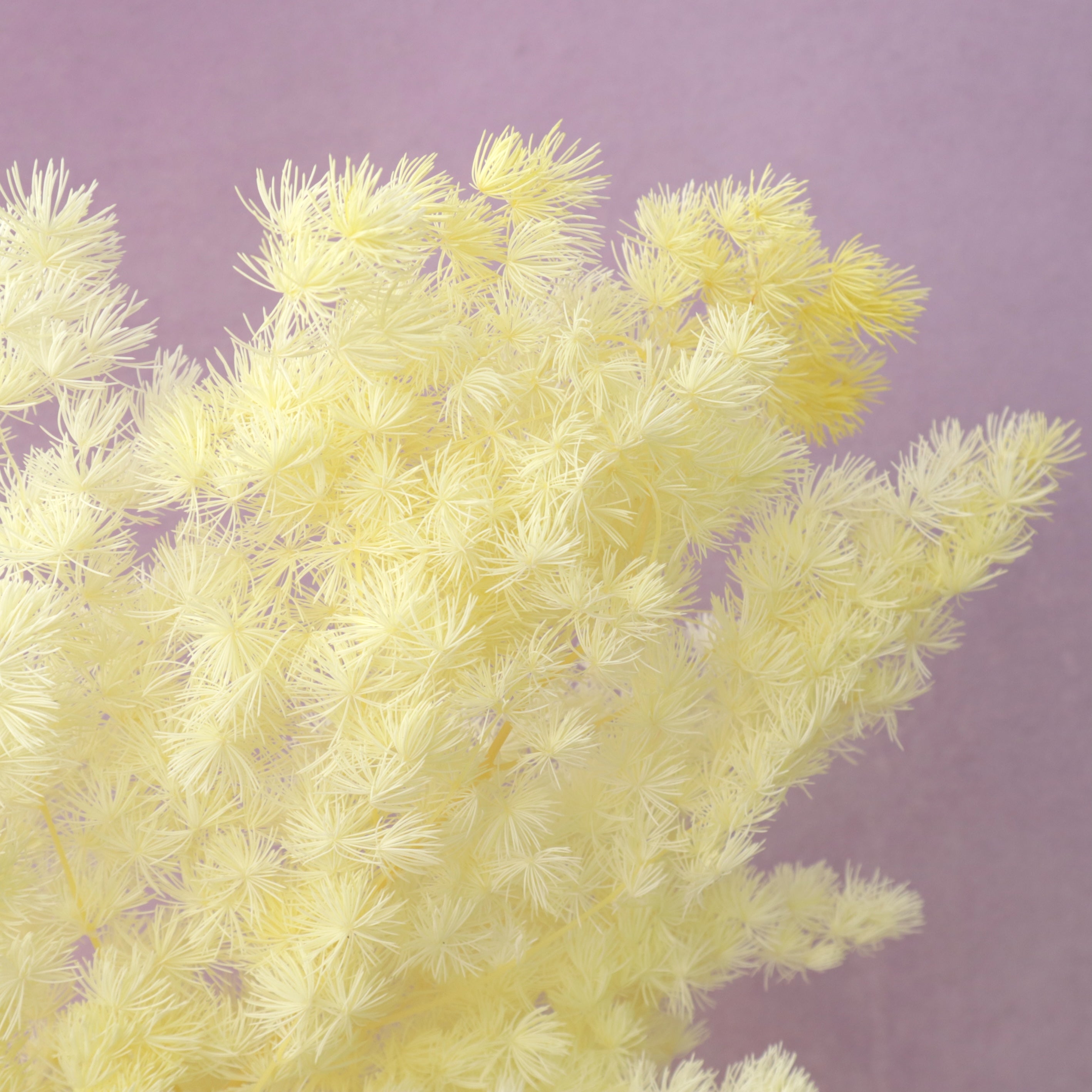 Ming Fern Pastel Yellow
