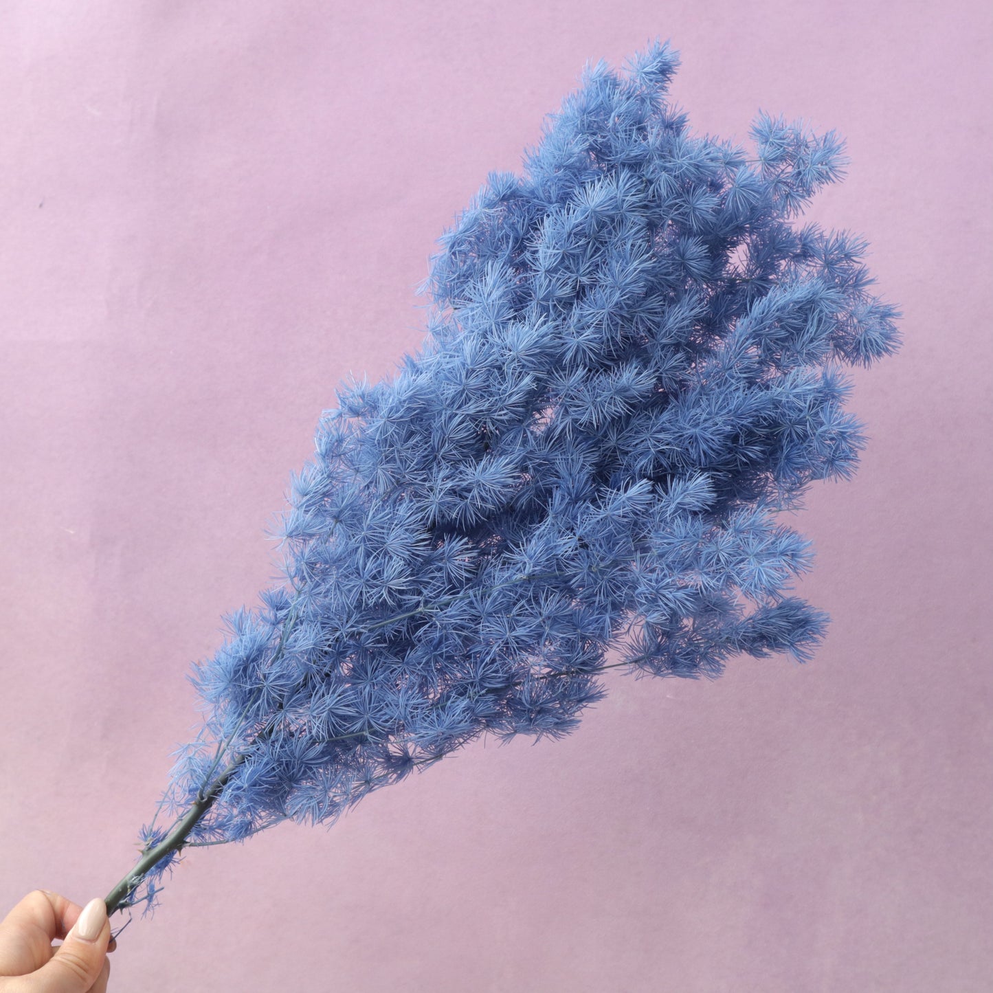 Ming Fern Denim Blue