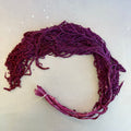 Amaranthus Fuchsia