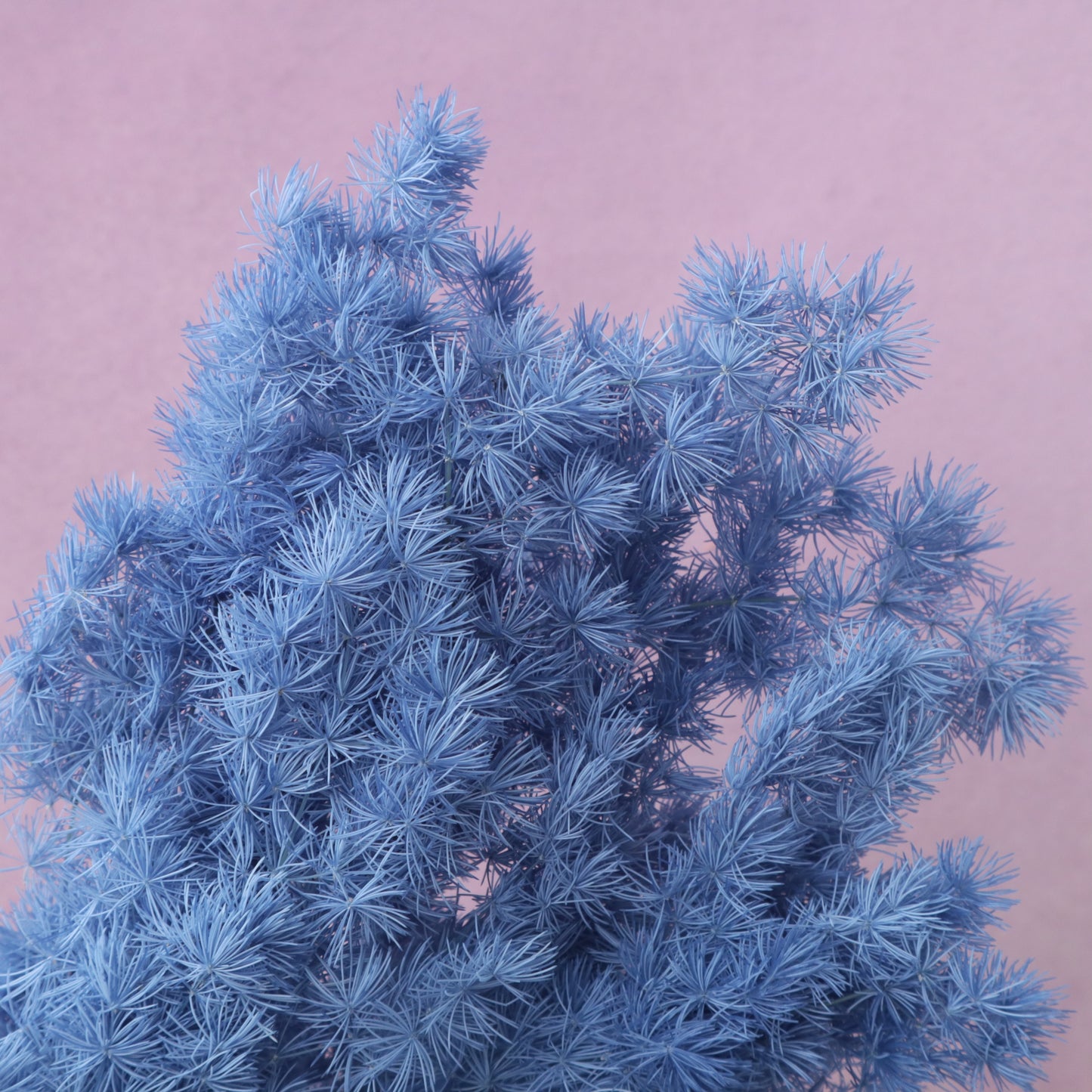 Ming Fern Denim Blue