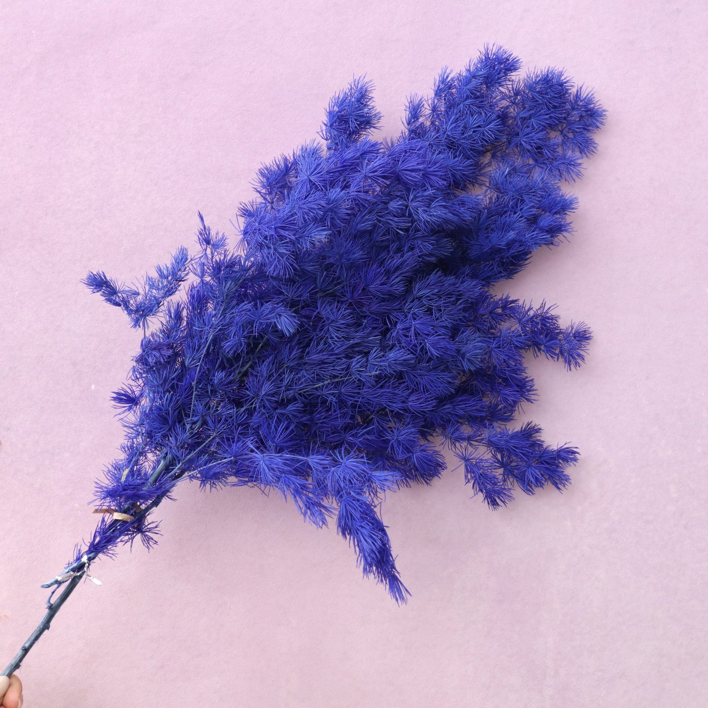 Ming Fern Royal Blue
