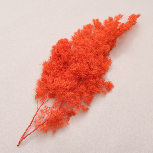 Ming Fern Bright Orange