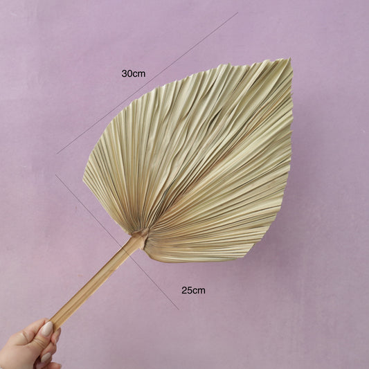 Palm Leaf Mid-Large Natural