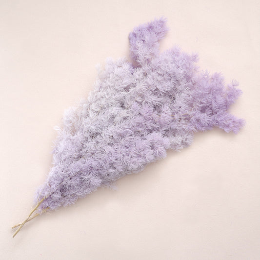 Ming Fern Lavender