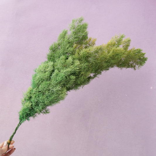 Ming Fern Pine Green