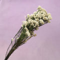 Rice Flower Natural Green