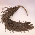 Amaranthus Dark Brown
