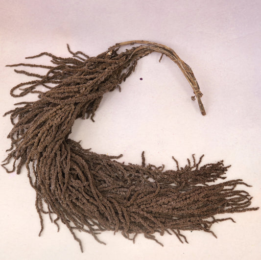 Amaranthus Dark Brown