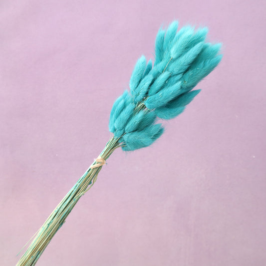 Bunny Tails Aqua