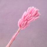 Bunny Tails Hot Pink
