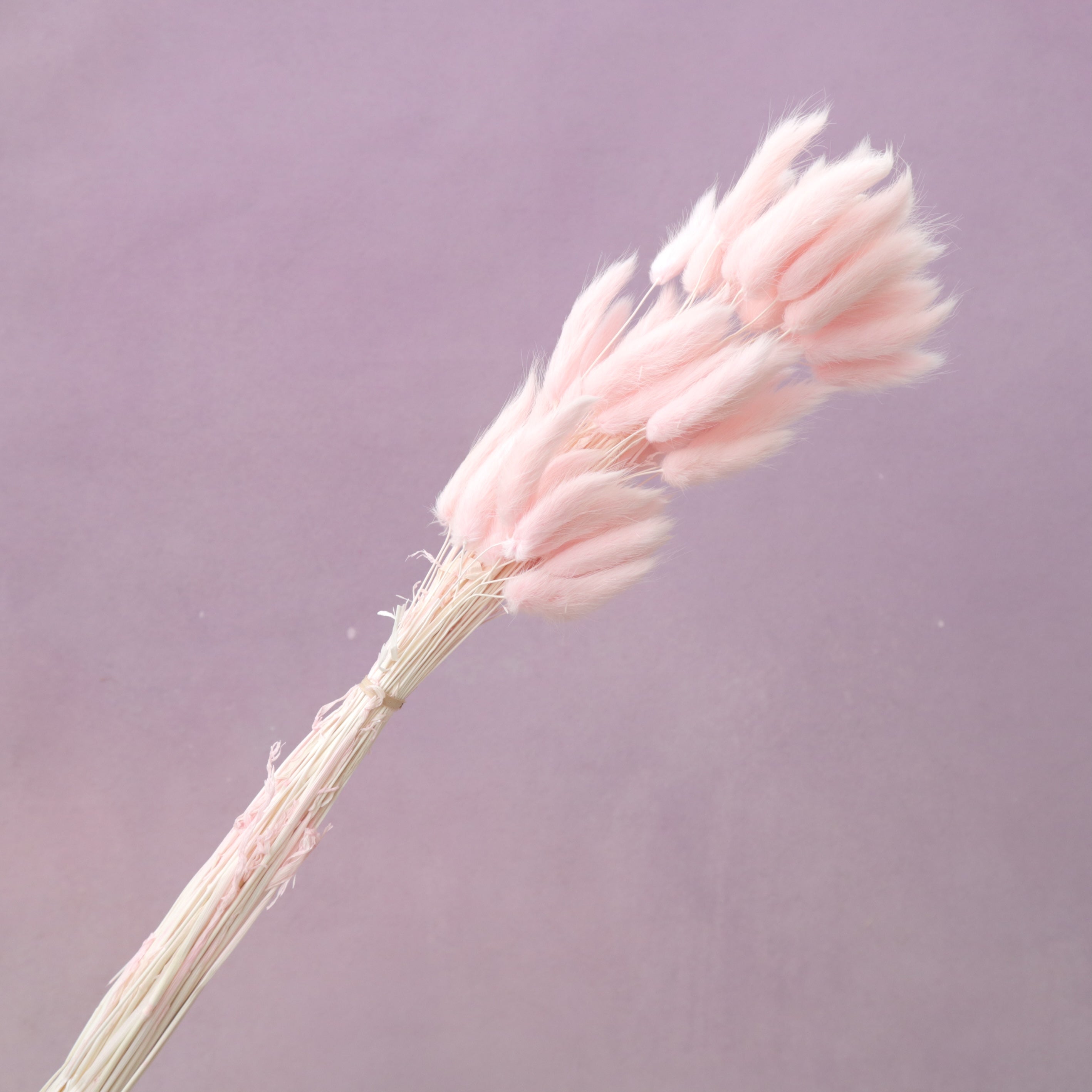 Bunny Tails Baby Pink