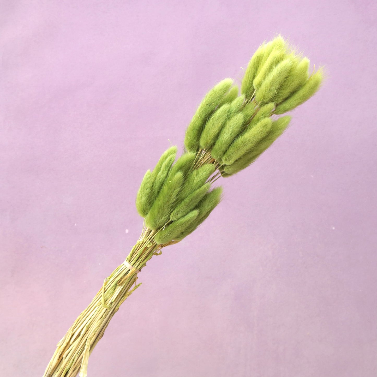 Bunny Tails Olive Green