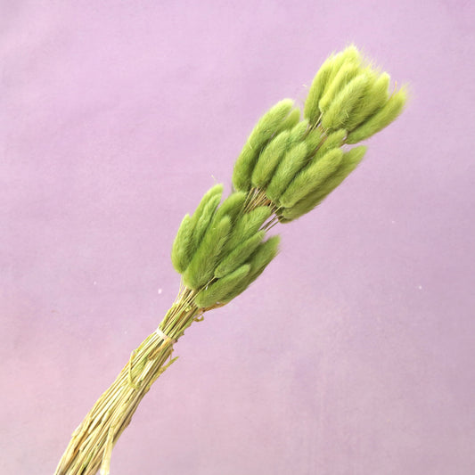 Bunny Tails Olive Green