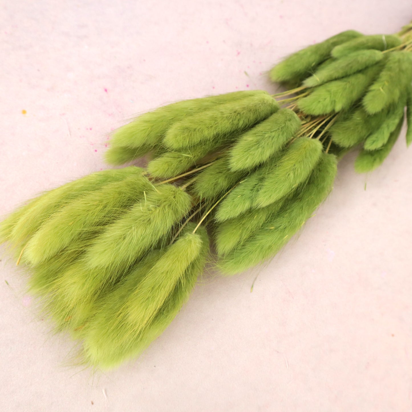 Bunny Tails Olive Green