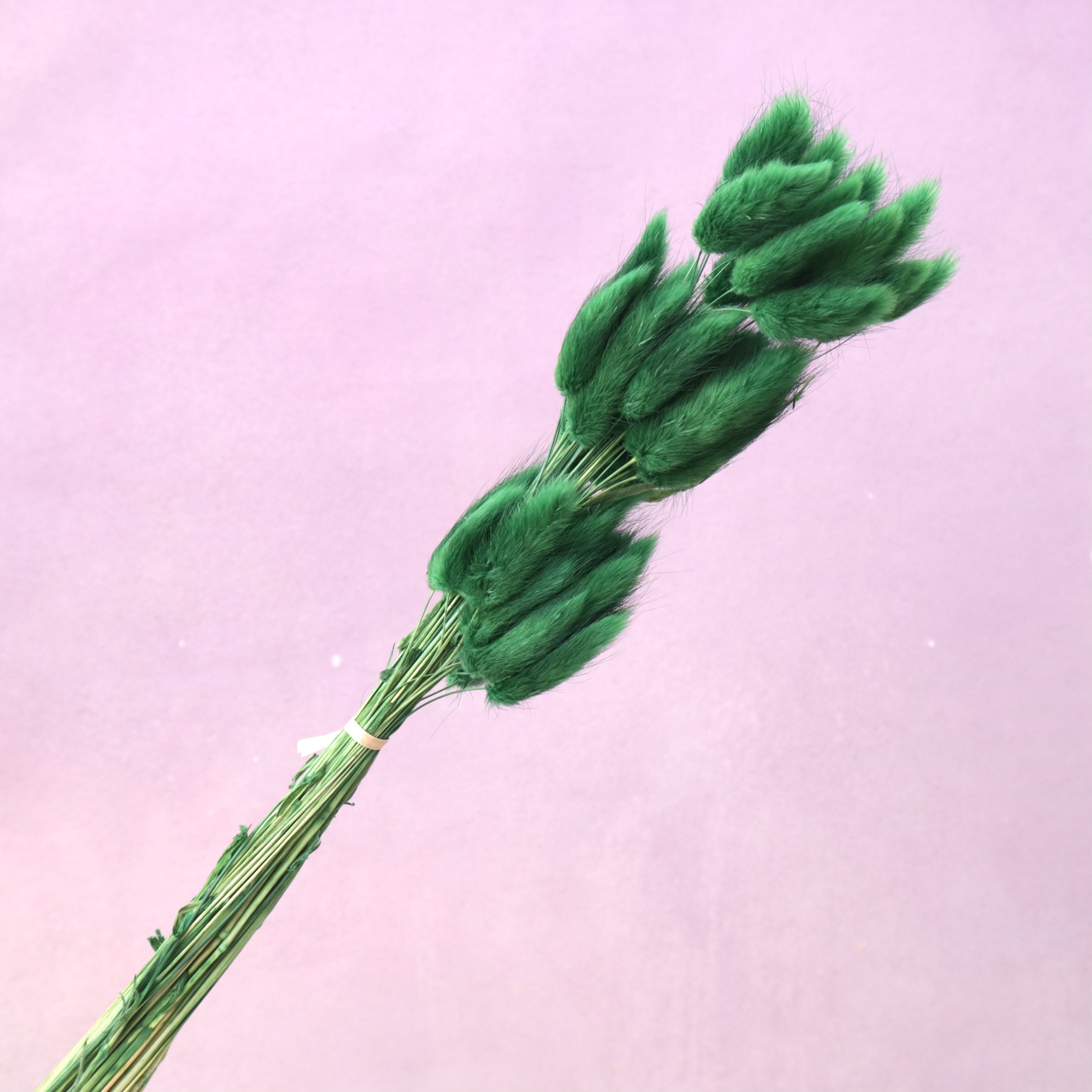 Bunny Tails Forest Green