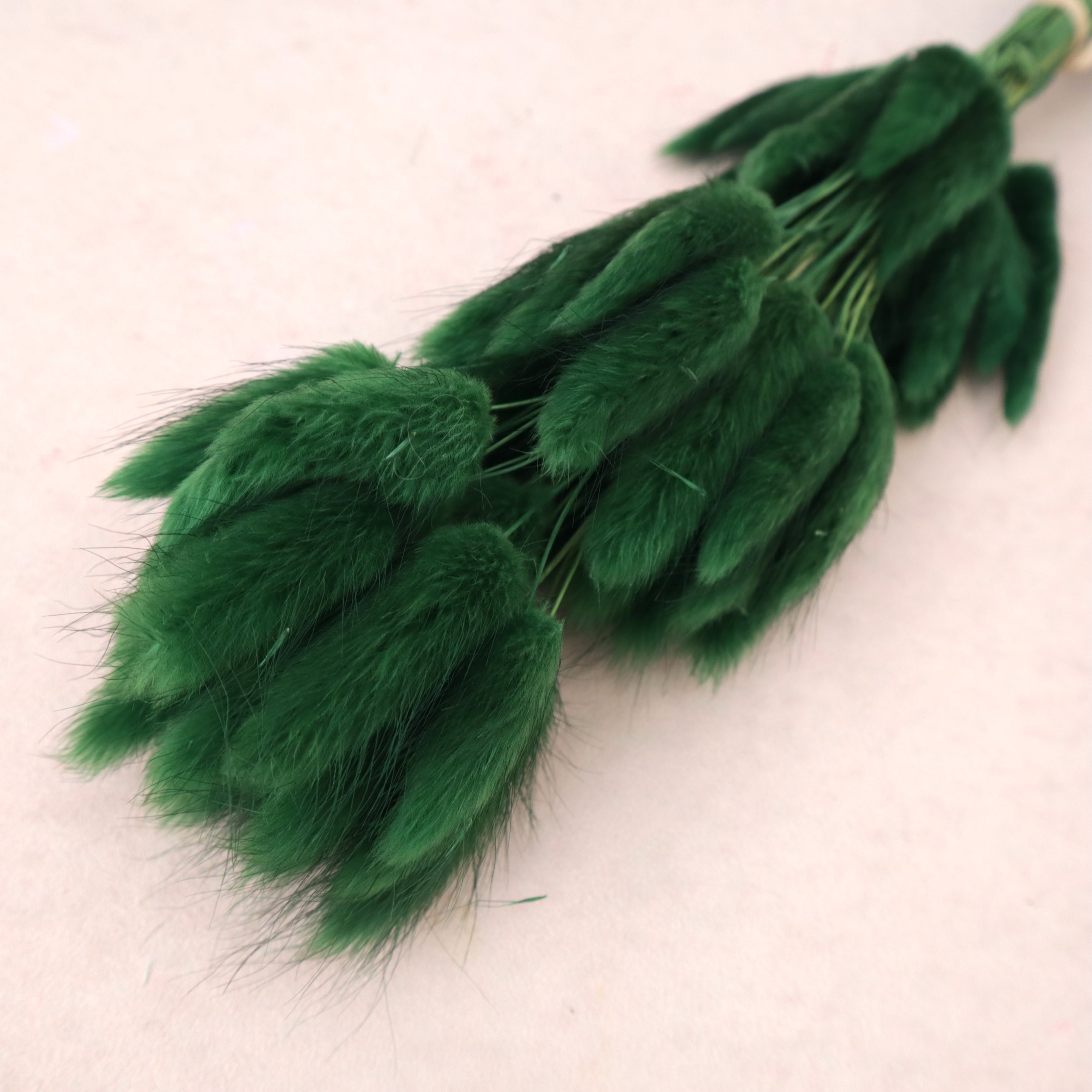 Bunny Tails Forest Green