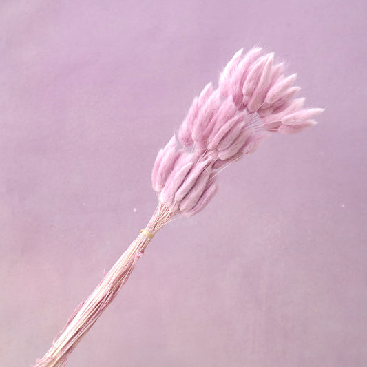 Bunny Tails Mauve