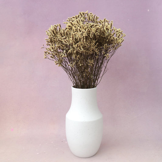 Statice Limonium Sinuatum Light Yellow