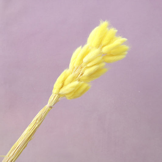 Bunny Tails Yellow