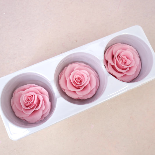 Rose Pink 3 heads (6cm)