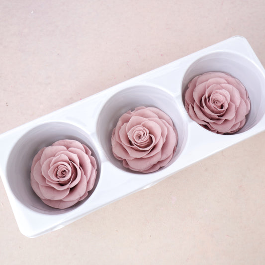 Rose Dusty Pink 3 heads (6cm)