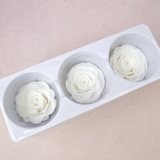 Rose White 3 heads (6cm)