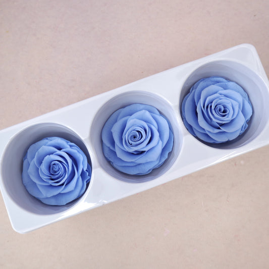 Rose Blue 3 heads (6cm)