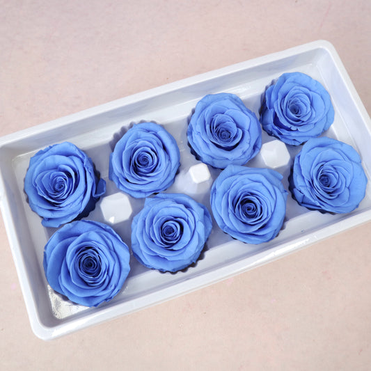 Rose Portuguese Blue 8 heads