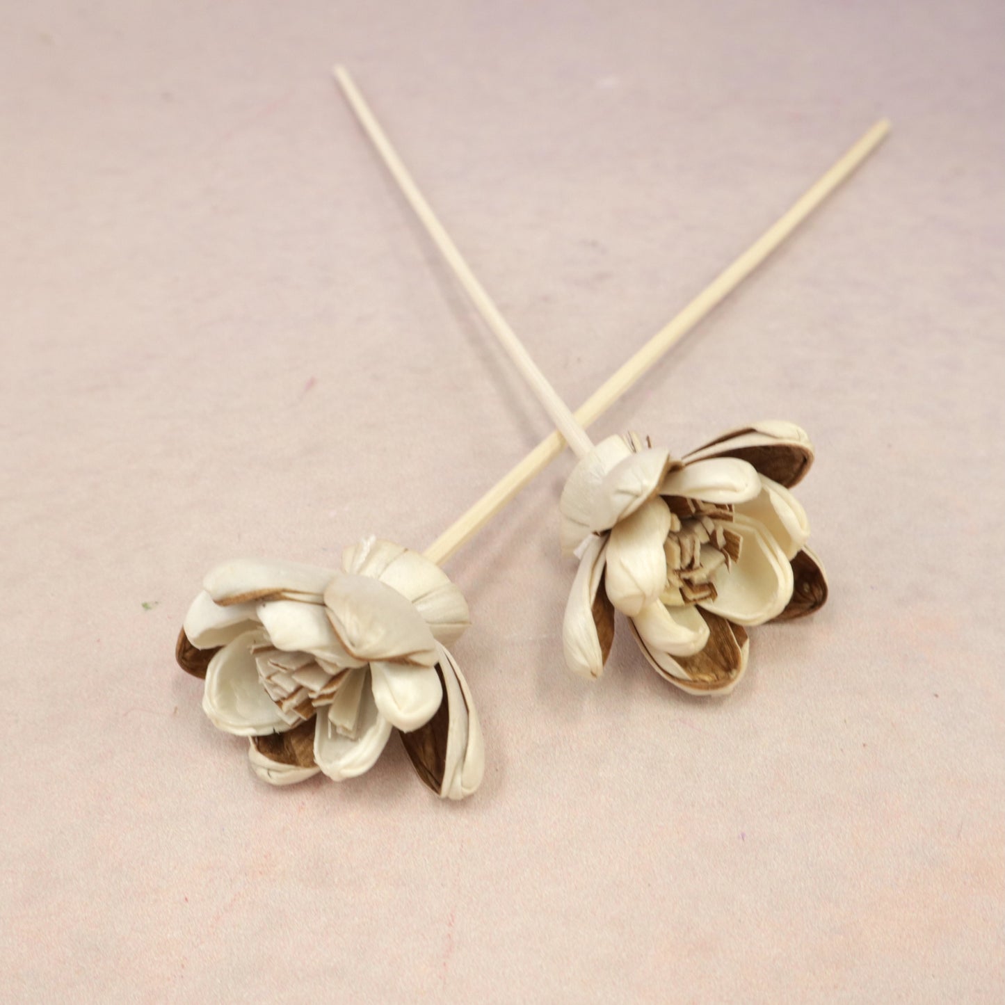 Sola Flower Jasmine