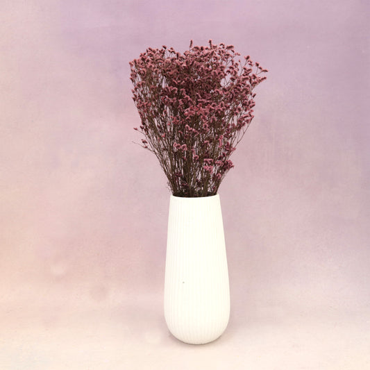 Statice Limonium Sinuatum Raspberry