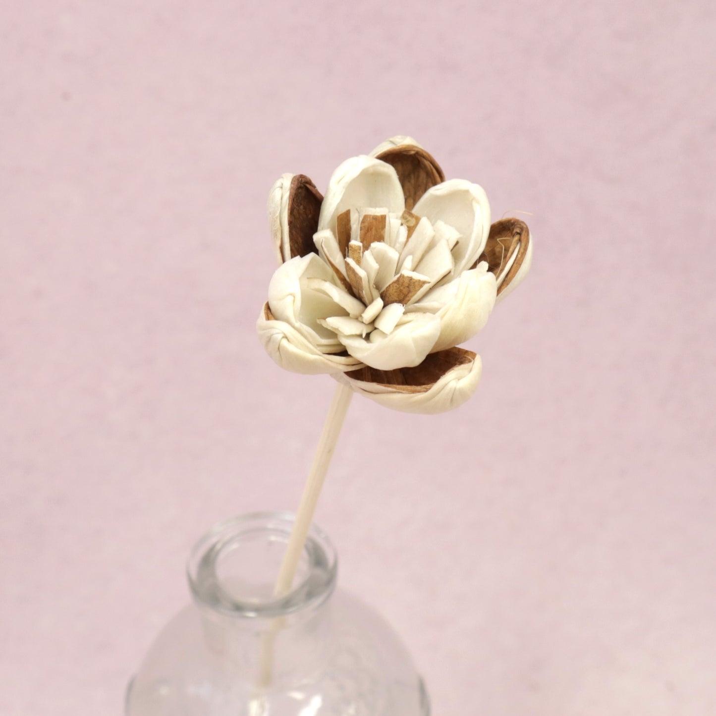 Sola Flower Jasmine