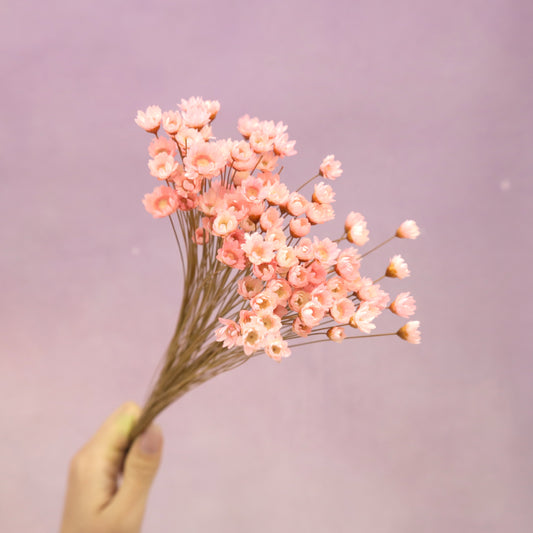 Star Flower Bright Pink