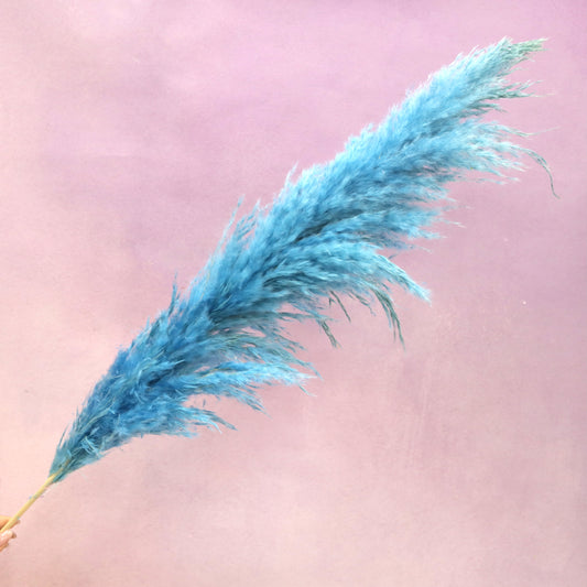 Pampas Sea Blue